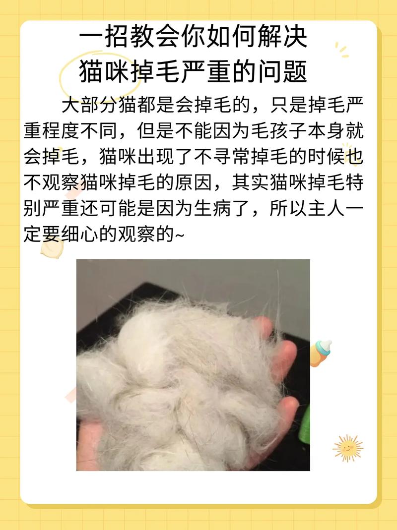 猫咪掉毛的秘密，如何与它们和谐共处