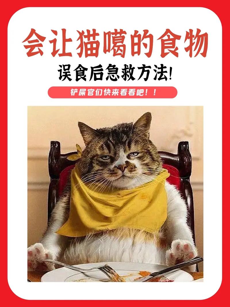 猫咪不能吃的10大清单，养宠必知的毒药