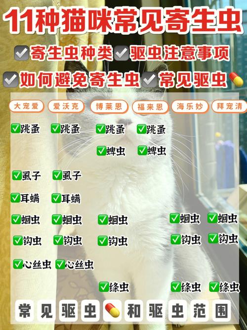 猫咪的隐形威胁——警惕猫咪传染寄生虫