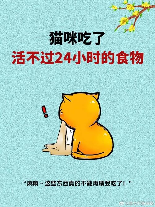 猫咪的致命一舔，误食双氧水的悲剧