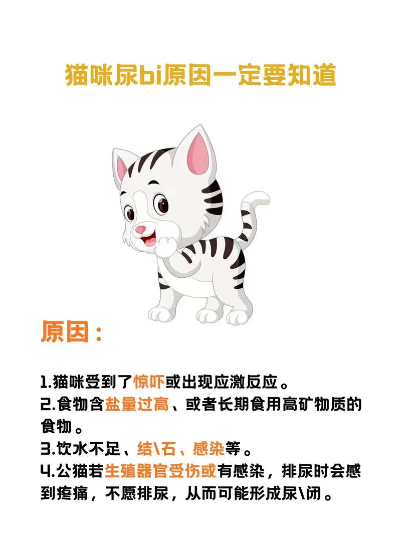 猫咪滴尿？如何应对猫咪的排尿问题