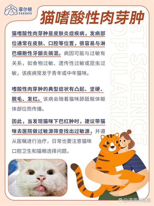 猫咪肉芽肿，了解它的症状与预防