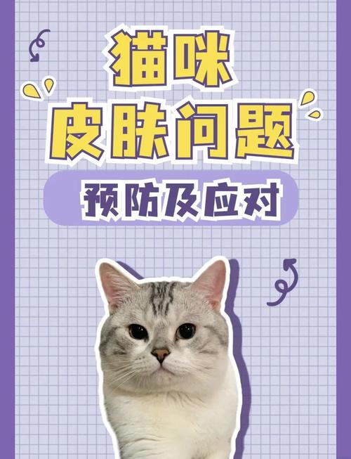 猫咪皮肤病，全面了解治疗方案