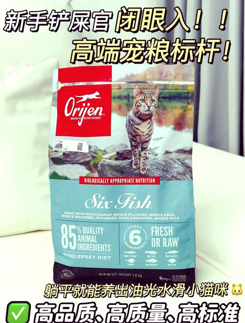 揭秘猫咪掉毛，了解常见原因及预防措施