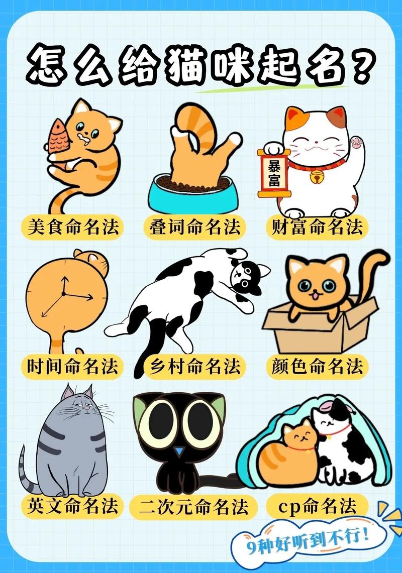 为你的小宝贝选择最萌名字，给猫咪取名的艺术