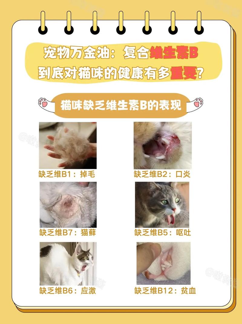 猫咪误食维生素，主人该怎样应对？