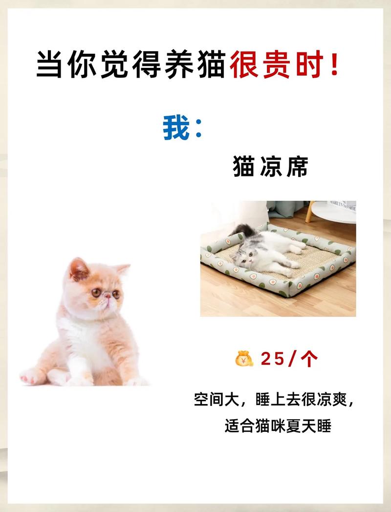 猫咪能喝舒化奶吗？你需要知道的真相