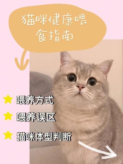 科学喂养猫咪，妙鲜包的正确打开方式