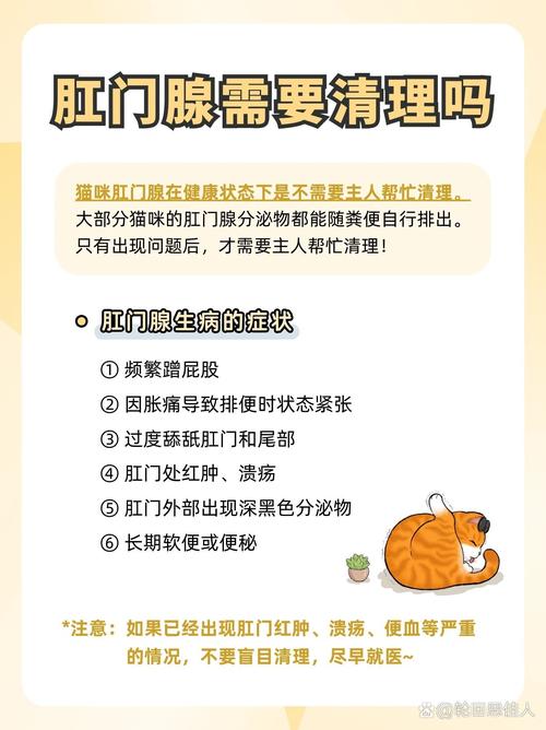 猫咪肛门腺问题，原因与护理指南