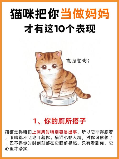 猫咪自污，一种常见的行为与解决之道