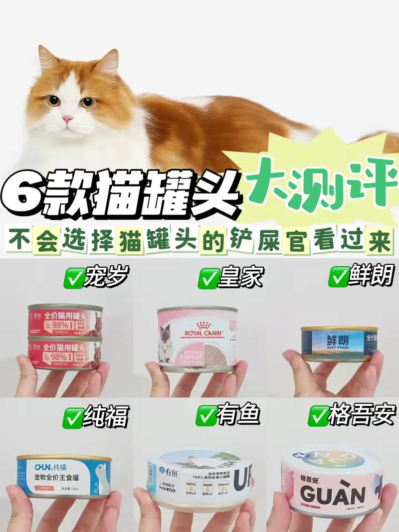 揭秘，哪种体型的猫咪适合享用罐头