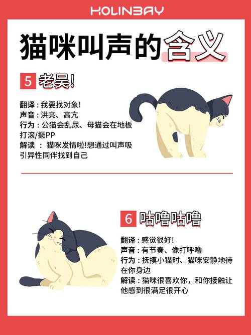 猫咪为何总是不断蹭你且发出叫声？