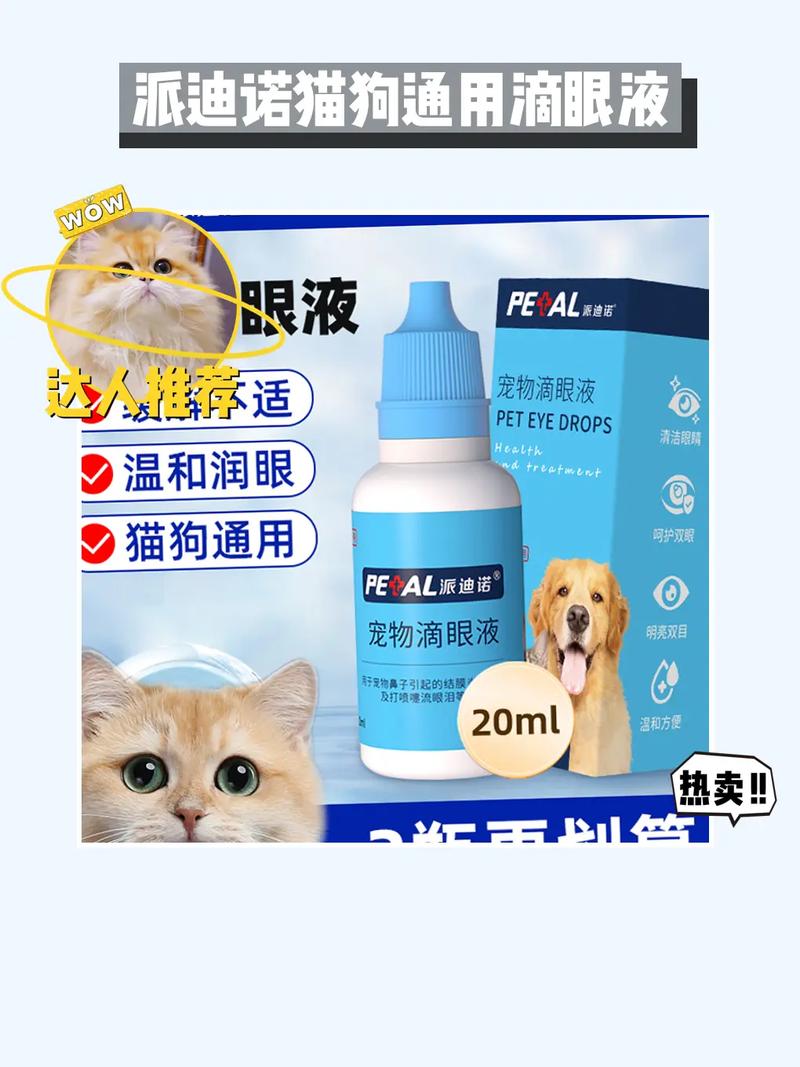 猫咪也能滴眼药水，宠物护理的新方式