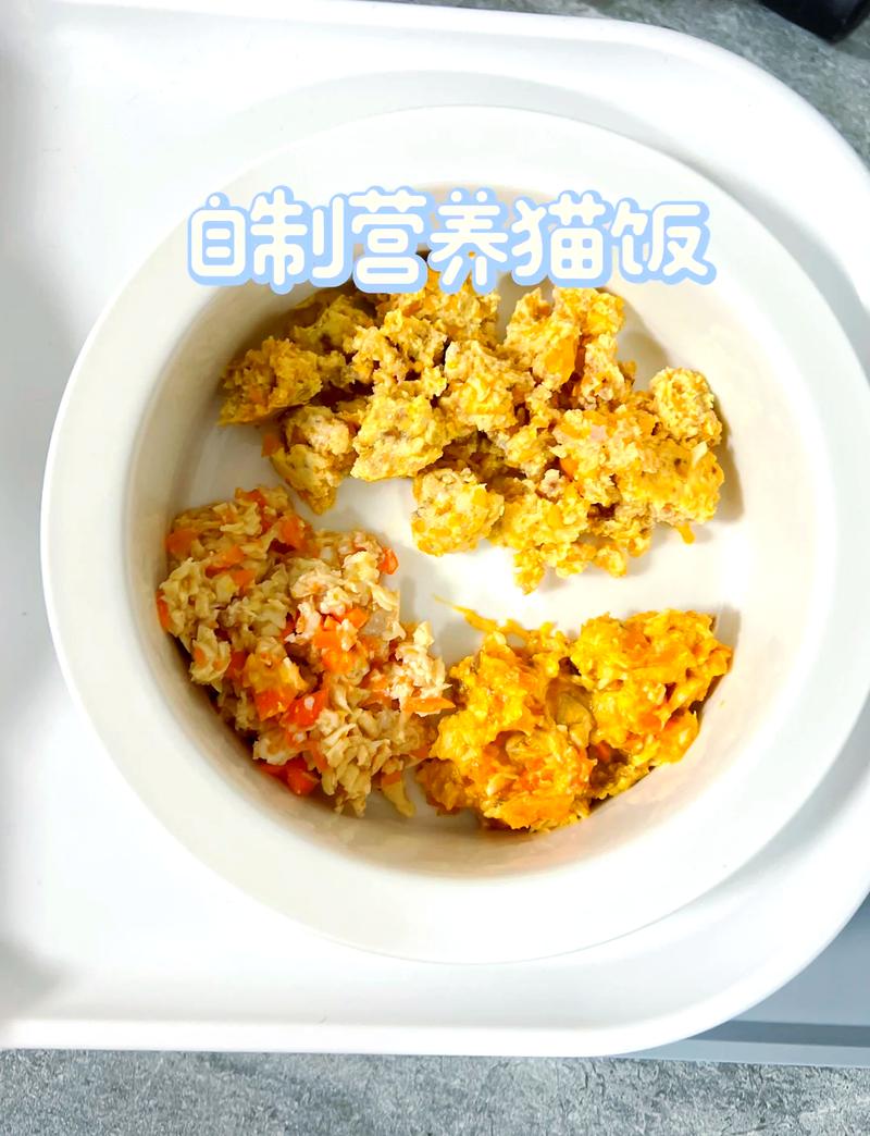 打造专属美味，如何为您的爱宠制作健康猫饭