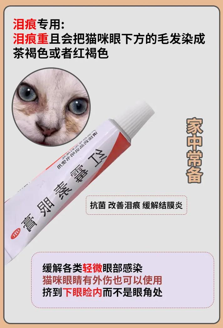 猫咪氯霉素眼药水，了解它的用途与潜在风险