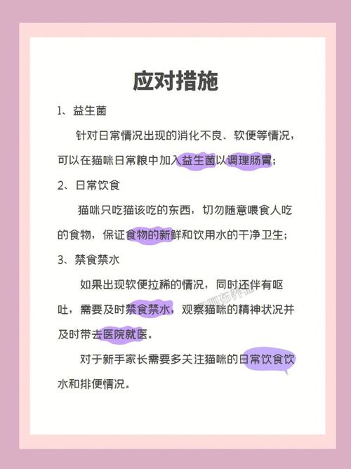 猫咪换食后为何拉肚子？专家教你如何安全换粮