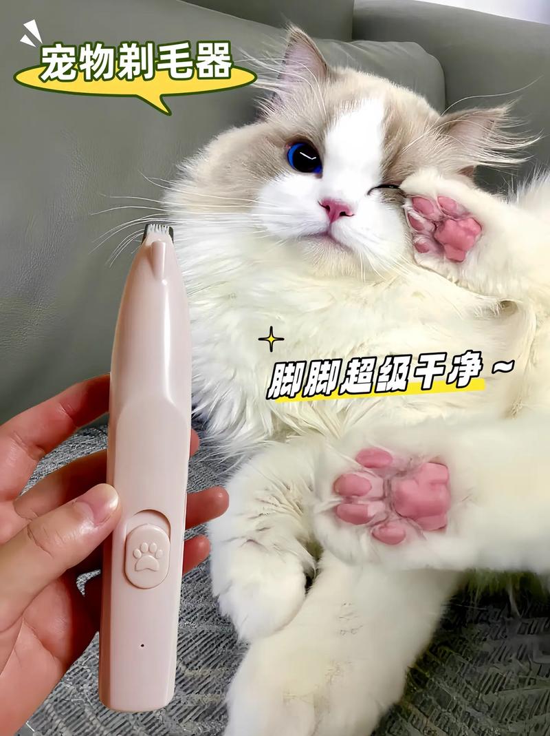 猫咪尿路感染饮食指南，让你的毛孩子健康无忧