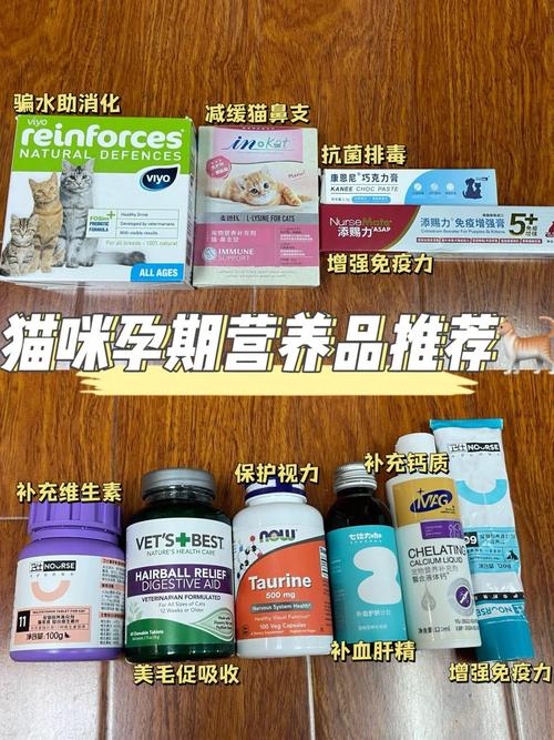 为爱宠添活力，猫咪所需的营养品全解析