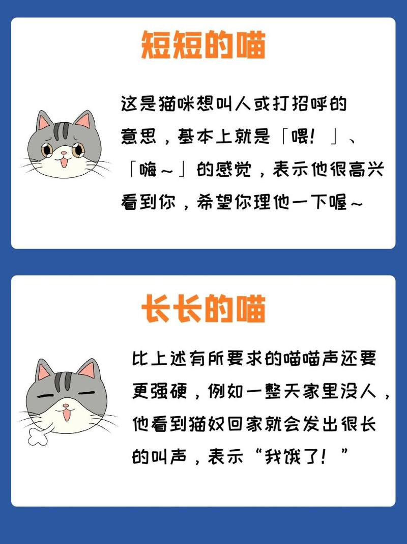 揭秘猫咪为什么总是叫