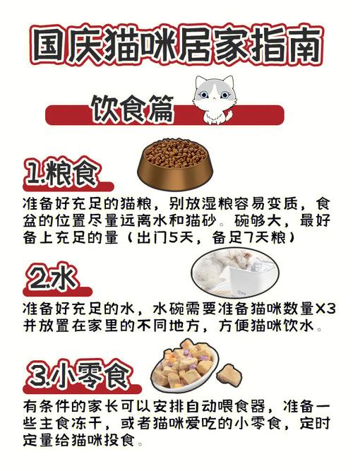 揭秘猫咪饮食，湿粮与干粮的奥秘