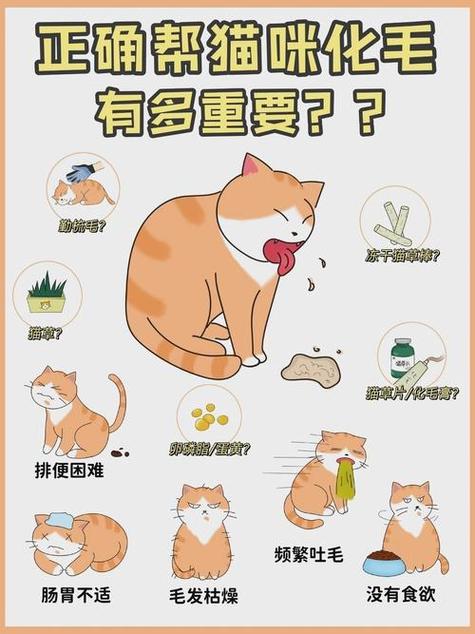 猫咪的毛球之旅，消化系统的小秘密