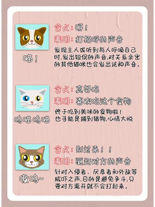 猫咪为何咕噜咕噜，解读猫语背后的秘密