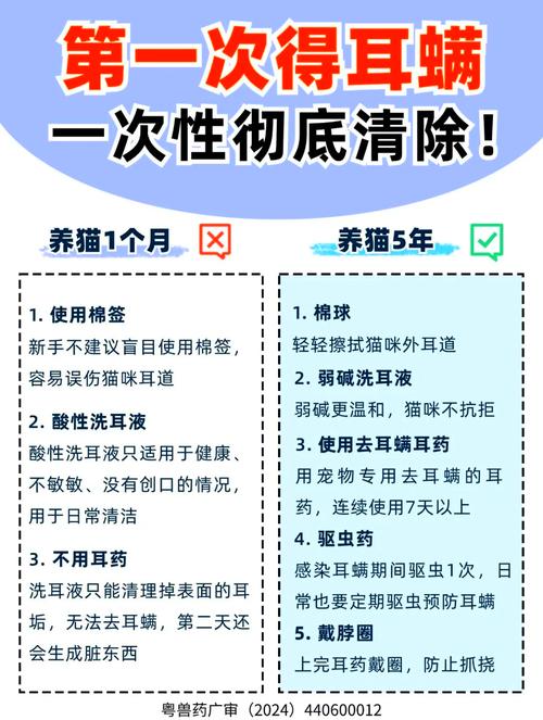 揭秘猫咪耳螨的秘密，如何有效预防与治疗