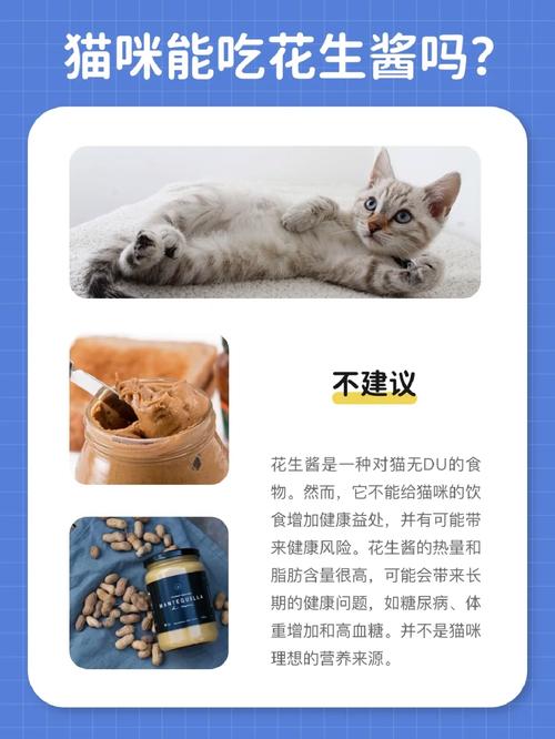 猫咪能吃乳生酶吗？专家解读