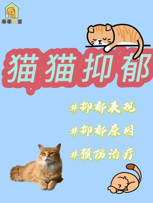 猫咪的灰暗日子，如何识别与应对抑郁症