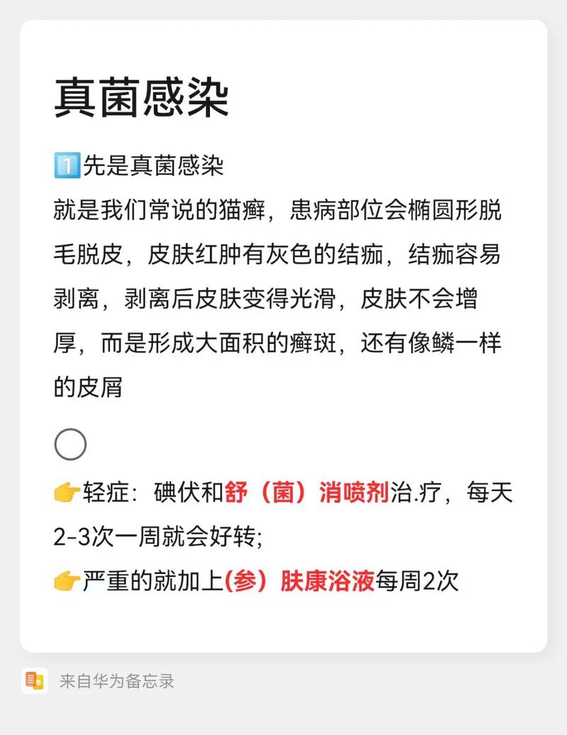 猫癣猫咪会疼吗？了解猫咪皮肤健康的重要课题