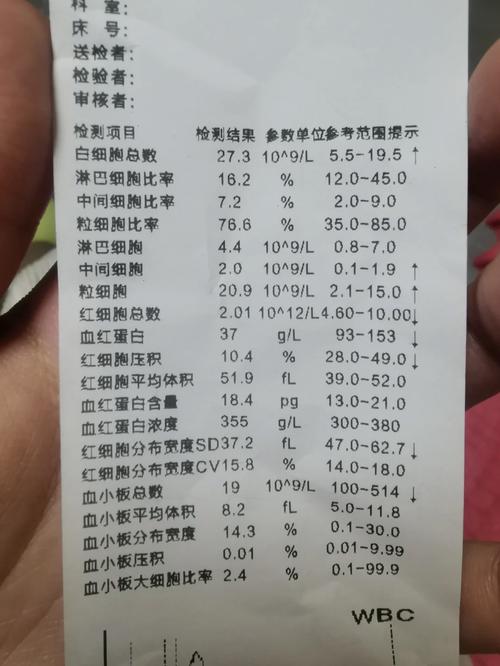 猫咪打消炎针费用揭秘，了解价格范围与影响因素