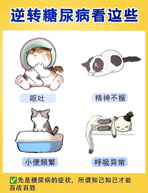 猫咪糖尿病，了解症状、应对策略与日常护理