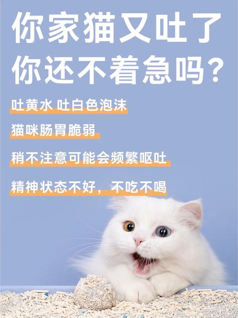 猫咪能否喝豆奶粉？——健康饮食的猫奴必读指南