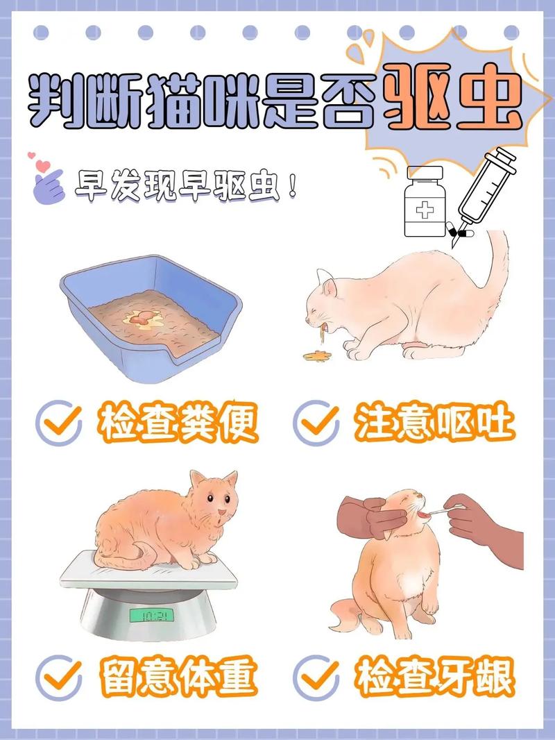 猫咪在哺乳期自然驱虫，养宠小贴士