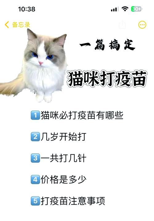 猫三联