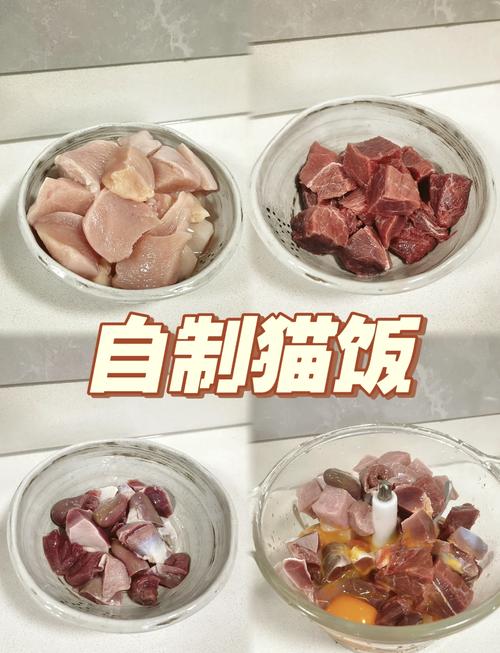 轻松在家自制猫咪美味零食——手把手教你做