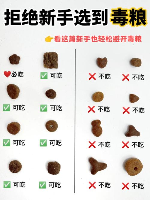 猫咪一岁吃什么粮？