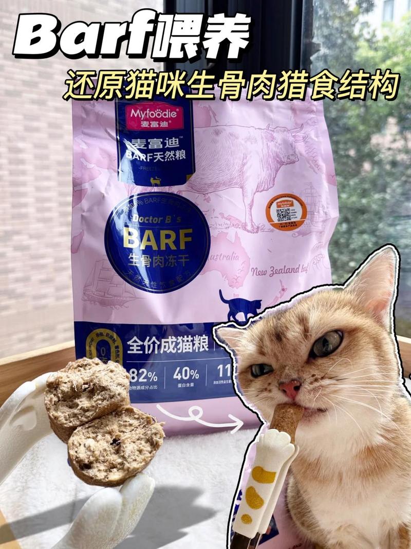 猫咪两个月不排泄？你需要知道的常见原因及解决方法