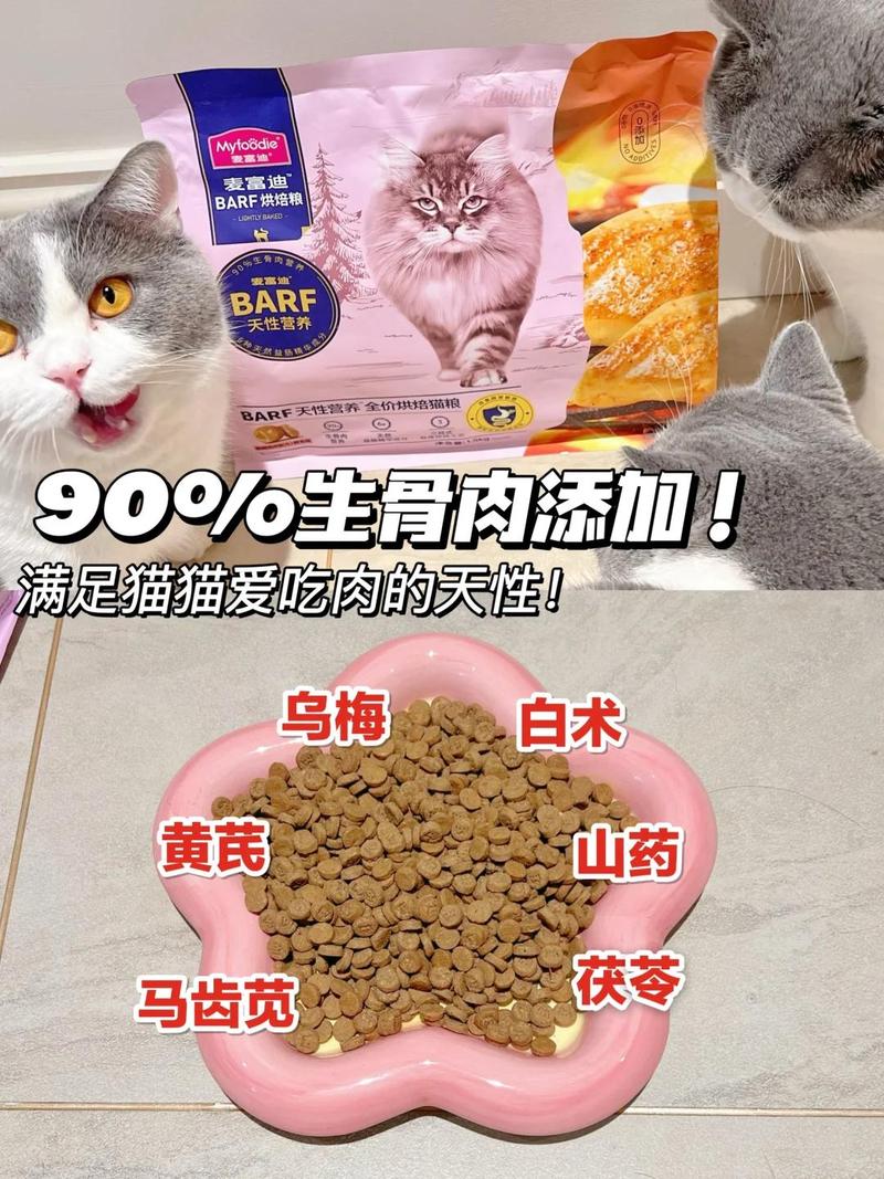 猫咪感冒药的选择，安全喂养指南