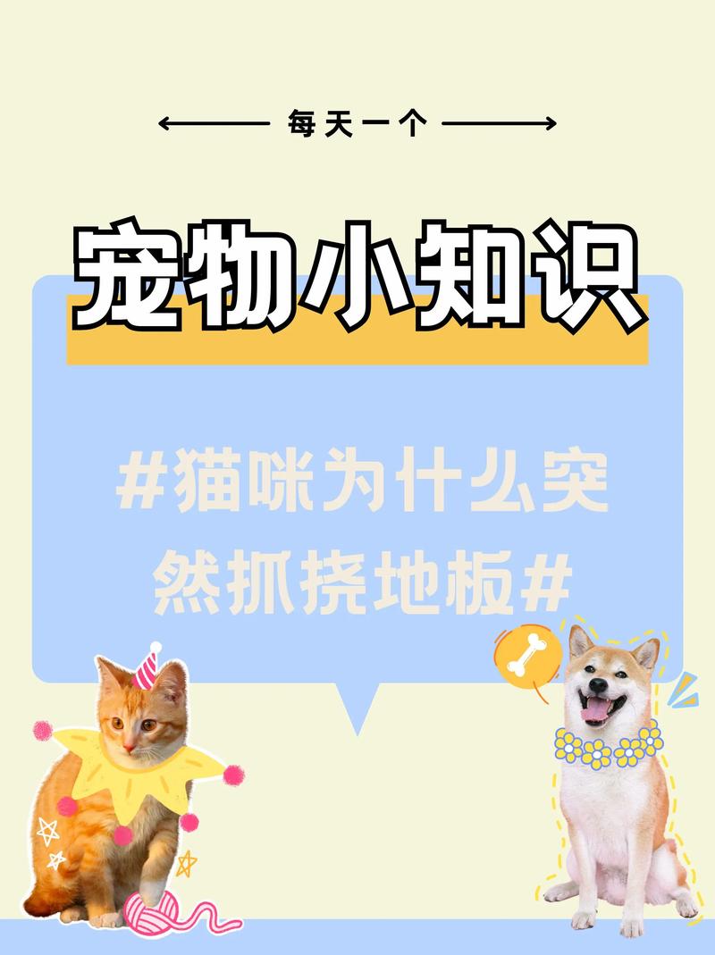 猫咪的抓挠行为，理解与管理