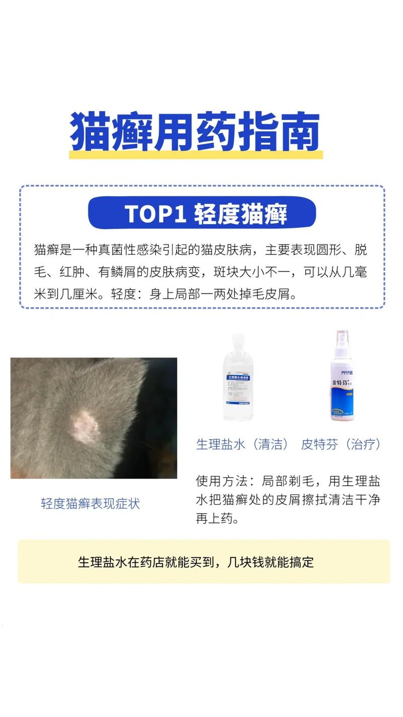 猫咪猫癣，你该知道的应对方法