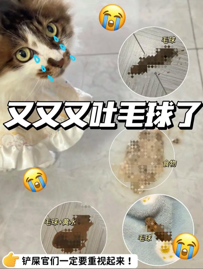 猫咪几个月内容易吐毛球？你需要了解的猫毛球护理知识