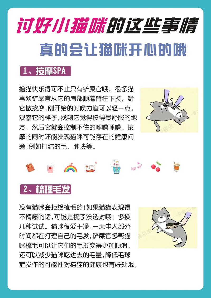 轻松为爱宠猫咪提供健康营养，如何科学喂养葡萄糖