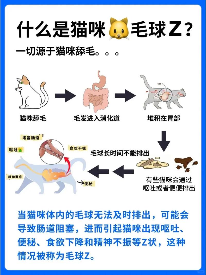 猫咪贪食后的吐怎么办？