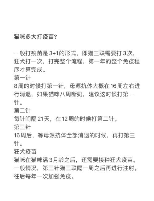 猫咪疫苗，两次接种的必要性与重要性