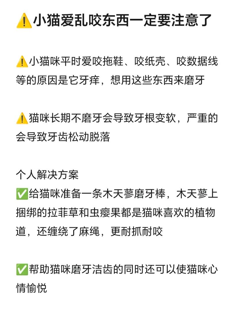 猫咪磨牙，为什么宠物总在磨牙？