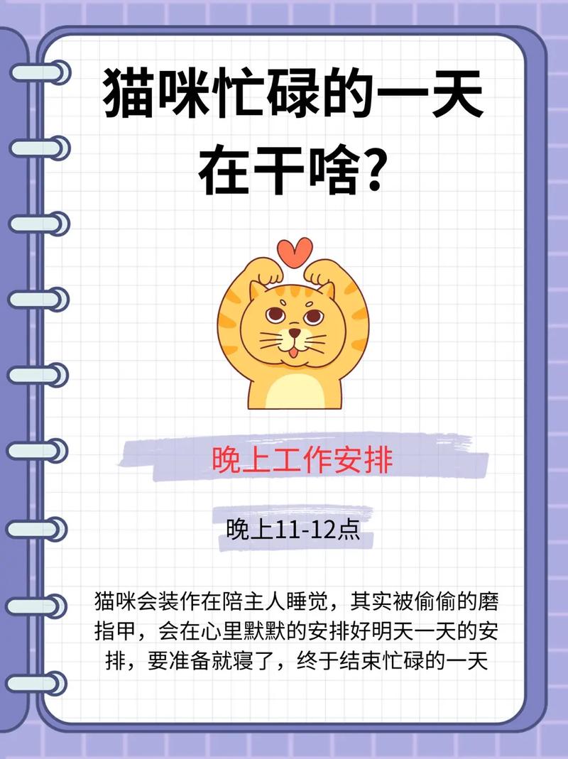 猫咪晚上究竟在忙什么？