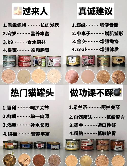 猫咪为何迷恋罐头——揭秘宠物的饮食奥秘