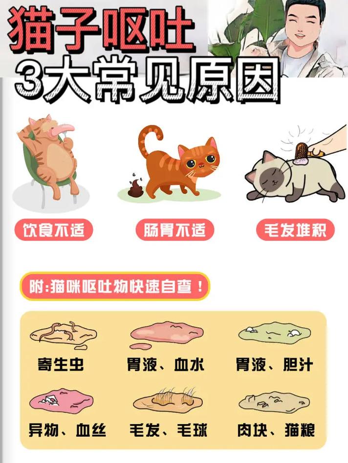 揭秘猫咪呕吐黄褐色的原因