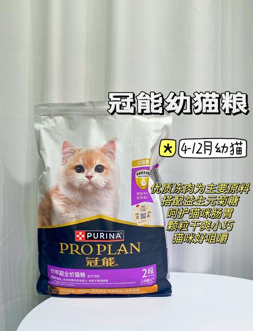 如何适时转换猫咪的猫粮，让它们健康成长